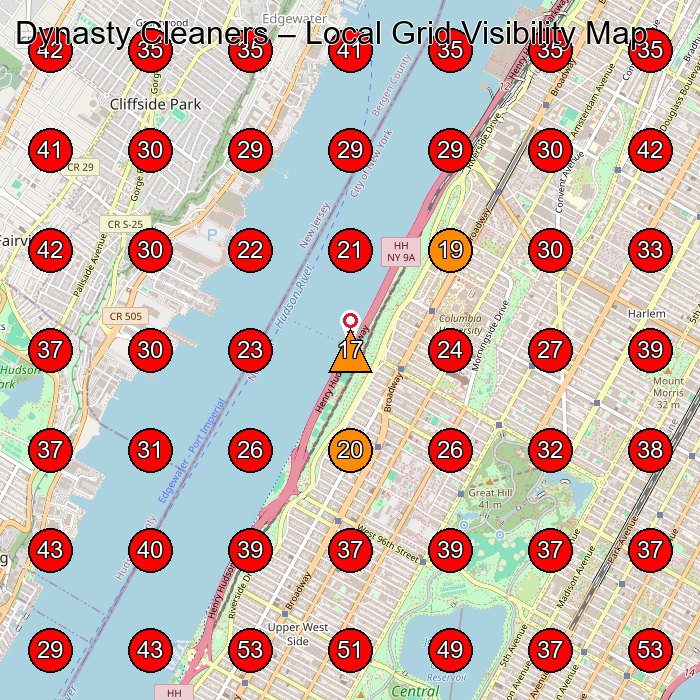 Dynasty Cleaners GeoGrid visibility map for Dry Cleaner in New York